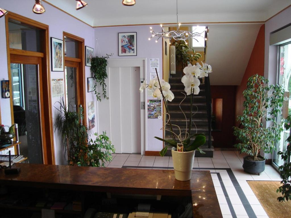 Hotel Beausejour Chaudes-Aigues Eksteriør billede